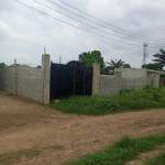 Akinboro Oluwaseyi Profile Picture